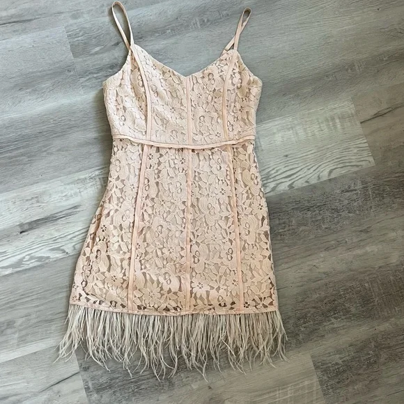 NWT GB Lace Feather Trim dress